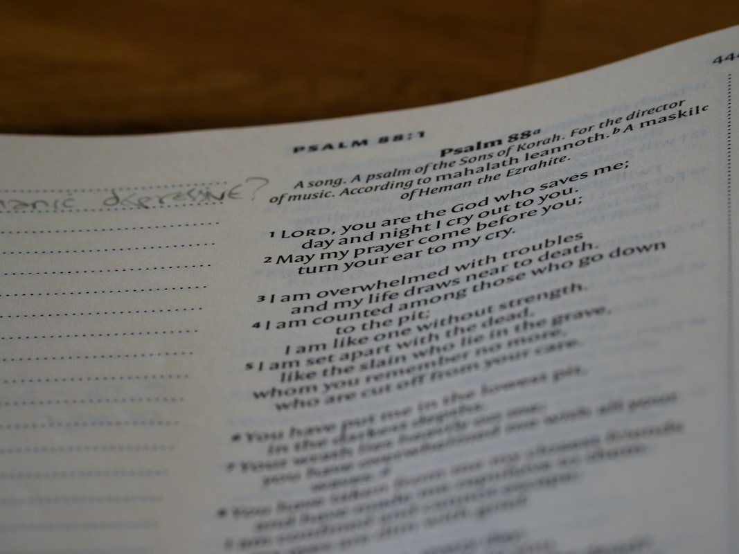 Weekly meal planning preparation